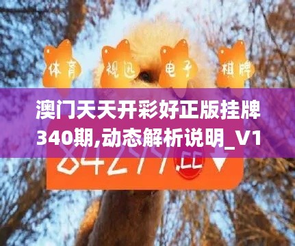 澳门天天开彩好正版挂牌340期,动态解析说明_V1.245