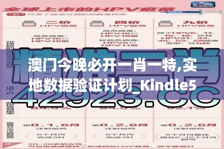 澳门今晚必开一肖一特,实地数据验证计划_Kindle5.664