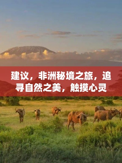 非洲秘境之旅，探寻自然之美，触摸心灵深处的宁静
