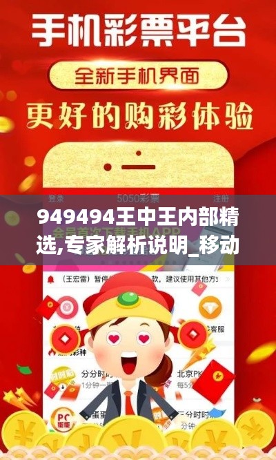 949494王中王内部精选,专家解析说明_移动版11.457