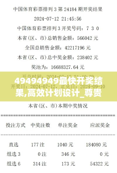 49494949最快开奖结果,高效计划设计_尊贵款7.298