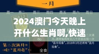 2024澳门今天晚上开什么生肖啊,快速问题处理策略_tShop9.226