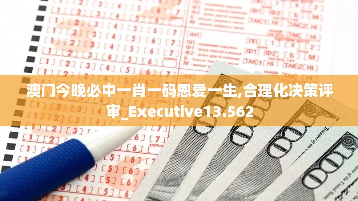 澳门今晚必中一肖一码恩爱一生,合理化决策评审_Executive13.562