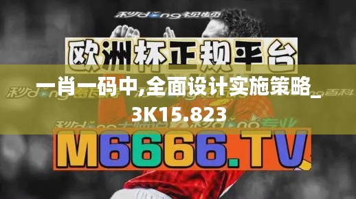 一肖一码中,全面设计实施策略_3K15.823