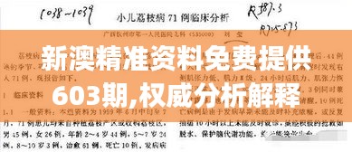 新澳精准资料免费提供603期,权威分析解释定义_V3.659