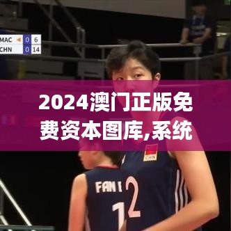 2024澳门正版免费资本图库,系统化说明解析_钻石版12.153