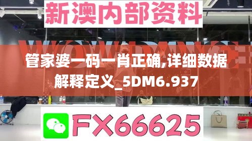 管家婆一码一肖正确,详细数据解释定义_5DM6.937
