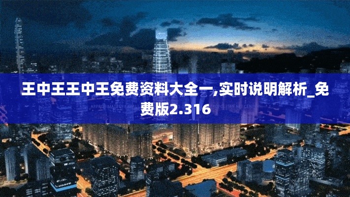王中王王中王免费资料大全一,实时说明解析_免费版2.316