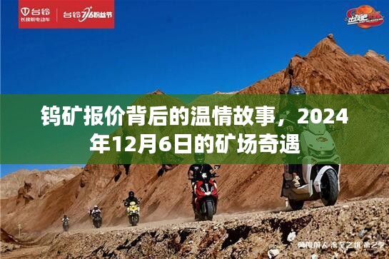 钨矿报价背后的温情故事，矿场奇遇记（2024年12月6日）