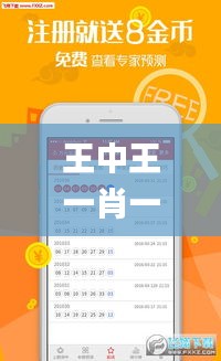 王中王一肖一中一特一中,系统评估说明_界面版8.462