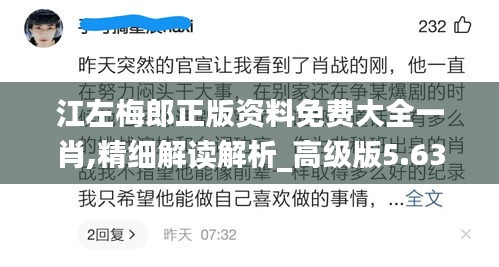 江左梅郎正版资料免费大全一肖,精细解读解析_高级版5.638