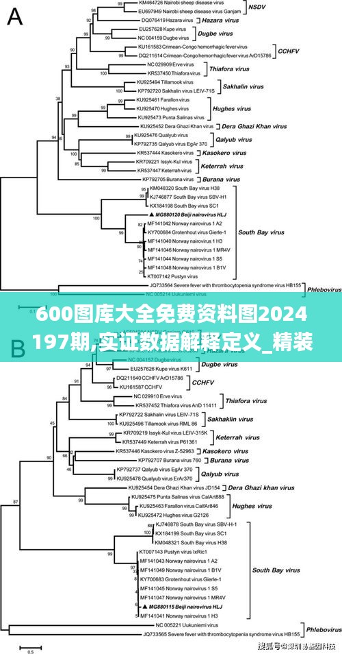 600图库大全免费资料图2024197期,实证数据解释定义_精装款10.541