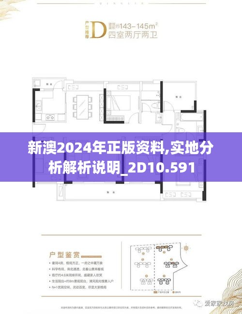新澳2024年正版资料,实地分析解析说明_2D10.591