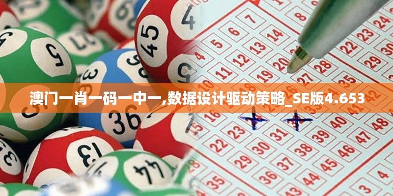 澳门一肖一码一中一,数据设计驱动策略_SE版4.653
