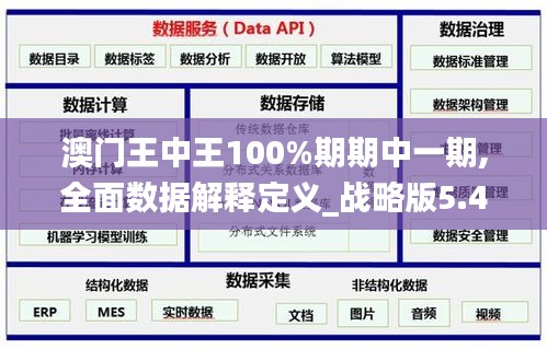 澳门王中王100%期期中一期,全面数据解释定义_战略版5.463