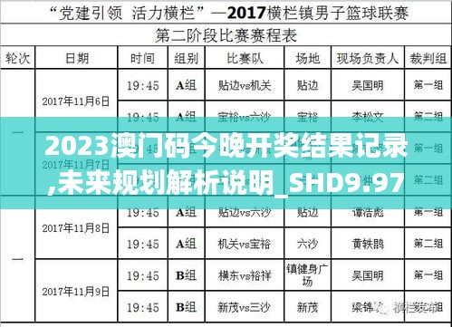 2023澳门码今晚开奖结果记录,未来规划解析说明_SHD9.976