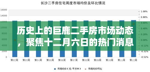 巨鹿二手房市场十二月动态聚焦，历史趋势与最新热门消息解读