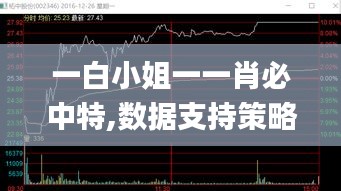 一白小姐一一肖必中特,数据支持策略分析_尊贵版4.392