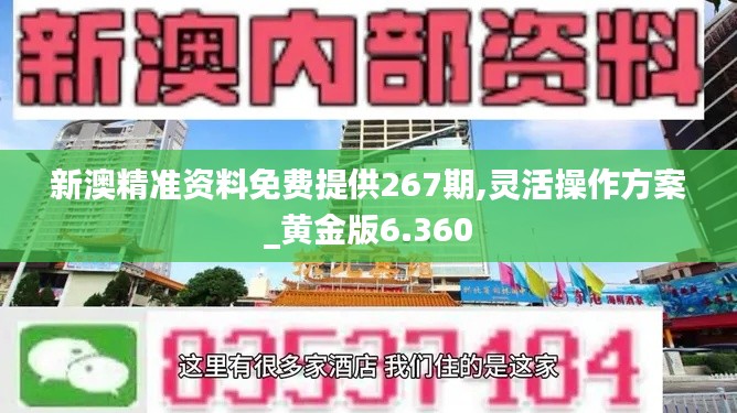新澳精准资料免费提供267期,灵活操作方案_黄金版6.360
