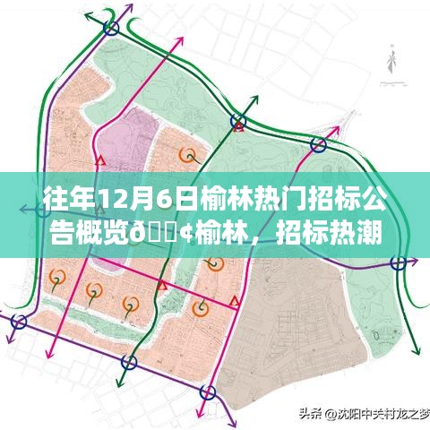 榆林招标热潮概览，历年12月6日热门招标公告回顾