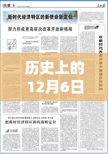 一枝独秀 第4页