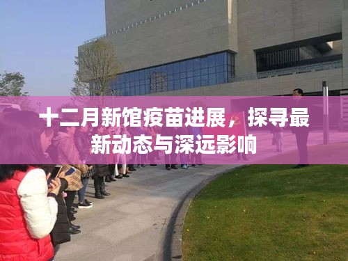 十二月新馆疫苗进展及最新动态与深远影响探究