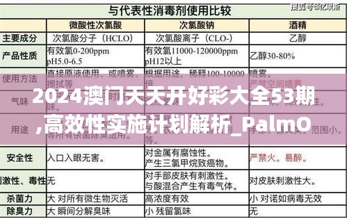 2024澳门天天开好彩大全53期,高效性实施计划解析_PalmOS9.154