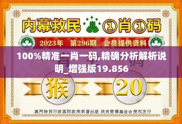 100%精准一肖一码,精确分析解析说明_增强版19.856
