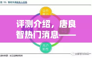 评测介绍，唐良智热门消息——深度解析产品特性、使用体验与目标用户群体分析（2017年12月版）