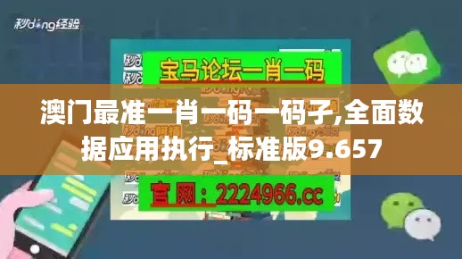 澳门最准一肖一码一码孑,全面数据应用执行_标准版9.657
