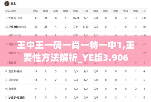王中王一码一肖一特一中1,重要性方法解析_YE版3.906