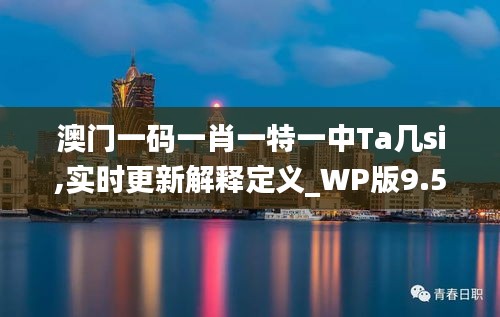 澳门一码一肖一特一中Ta几si,实时更新解释定义_WP版9.520