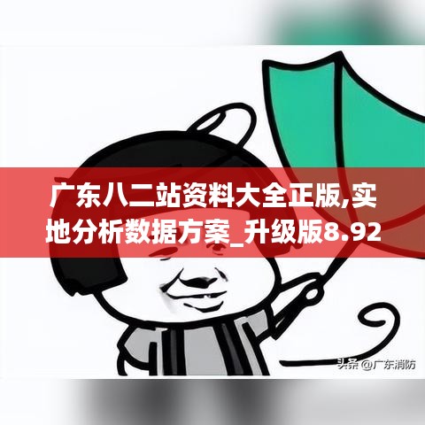 广东八二站资料大全正版,实地分析数据方案_升级版8.920