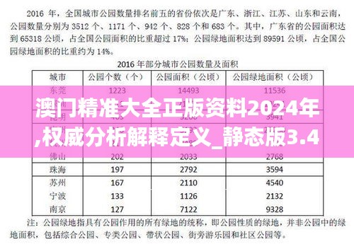 澳门精准大全正版资料2024年,权威分析解释定义_静态版3.447