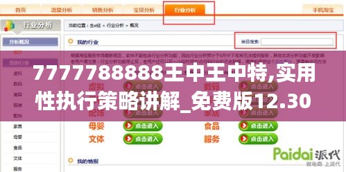 7777788888王中王中特,实用性执行策略讲解_免费版12.308