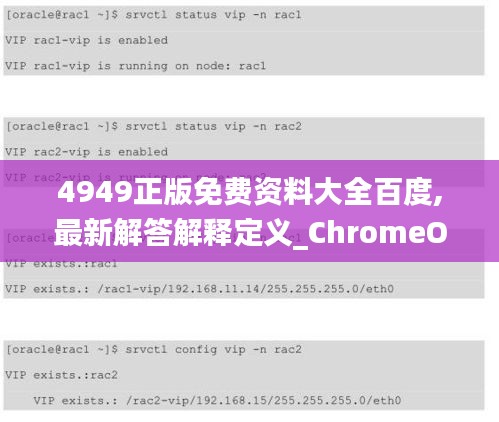 4949正版免费资料大全百度,最新解答解释定义_ChromeOS10.206