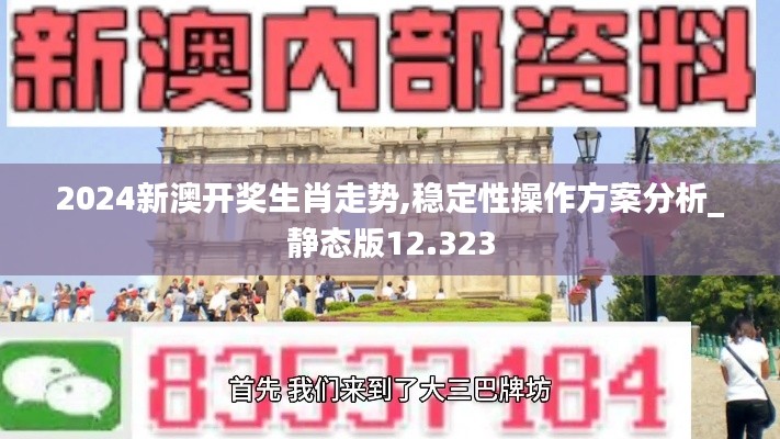 2024新澳开奖生肖走势,稳定性操作方案分析_静态版12.323