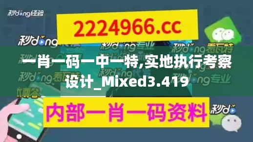 一肖一码一中一特,实地执行考察设计_Mixed3.419