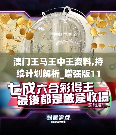 澳门王马王中王资料,持续计划解析_增强版110.512