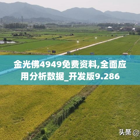 灰飞湮灭 第3页