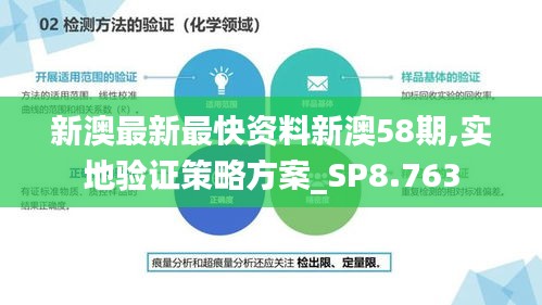 新澳最新最快资料新澳58期,实地验证策略方案_SP8.763