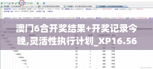澳门6合开奖结果+开奖记录今晚,灵活性执行计划_XP16.569