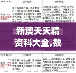 新澳天天精资科大全,数据分析说明_挑战款16.532