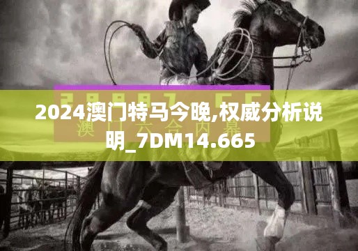2024澳门特马今晚,权威分析说明_7DM14.665