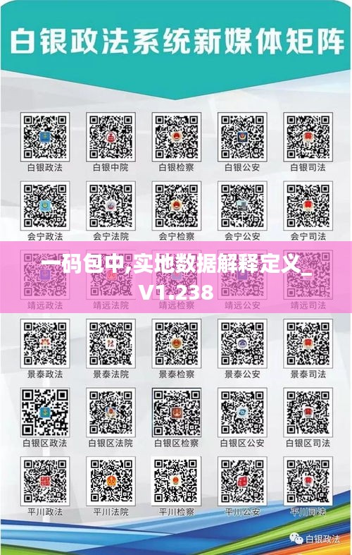 一码包中,实地数据解释定义_V1.238