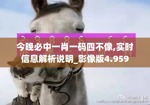 今晚必中一肖一码四不像,实时信息解析说明_影像版4.959