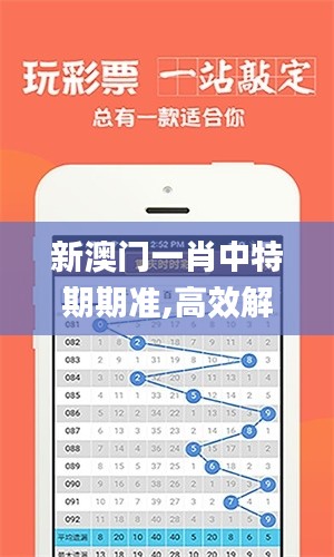 新澳门一肖中特期期准,高效解答解释定义_Windows9.521
