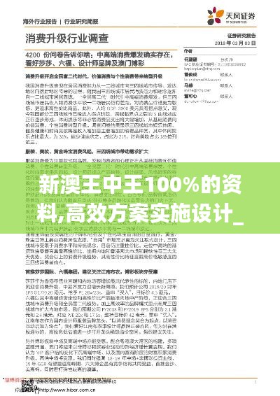 新澳王中王100%的资料,高效方案实施设计_soft2.319
