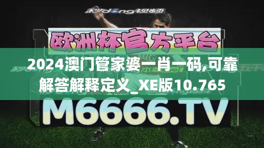 2024澳门管家婆一肖一码,可靠解答解释定义_XE版10.765