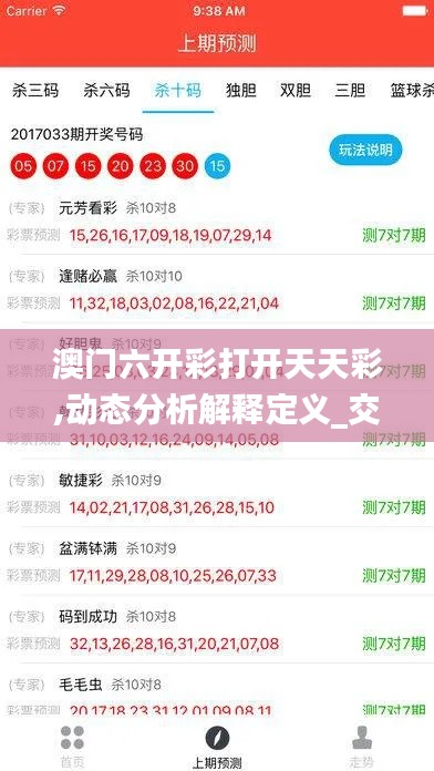 澳门六开彩打开天天彩,动态分析解释定义_交互版16.216